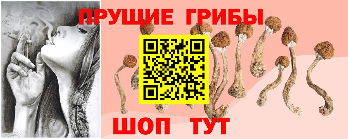 Галлюциногенные грибы ЛСД Ржев